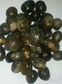 湖北 調味料 調味料價格 報價 調味料品牌廠家